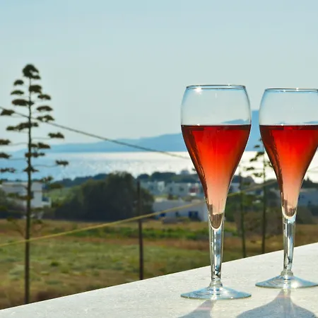 Apartahotel Anthi Naxos