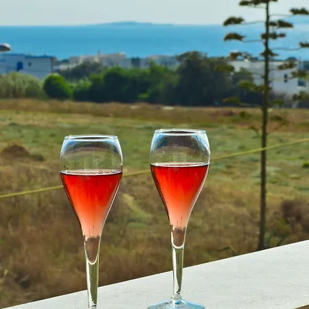 Apartahotel Anthi Naxos