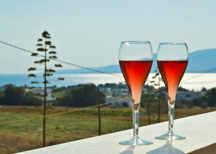 Aparthotel Anthi Naxos