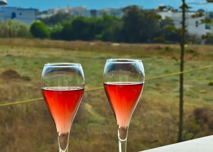 Aparthotel Anthi Naxos